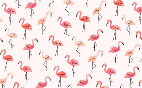 🔥 [20+] Cute Flamingo Desktop Wallpapers | WallpaperSafari