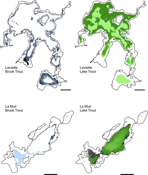 Habitat use models for brook trout and lake trout based on model ...