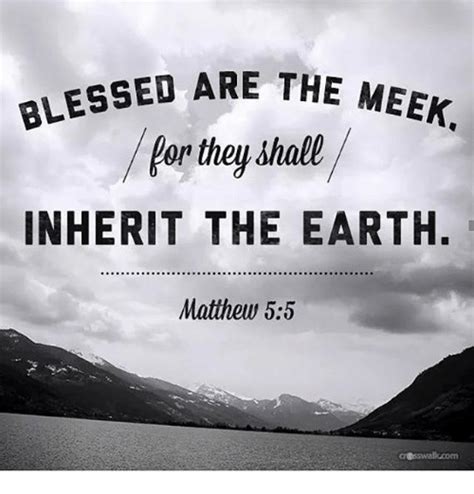 The Meek Shall Inherit the Earth | Bill Hutchison