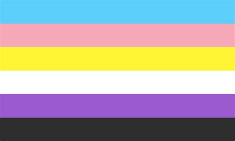 What is the Nonbinary Trans Flag and Meaning Behind Its Colors?