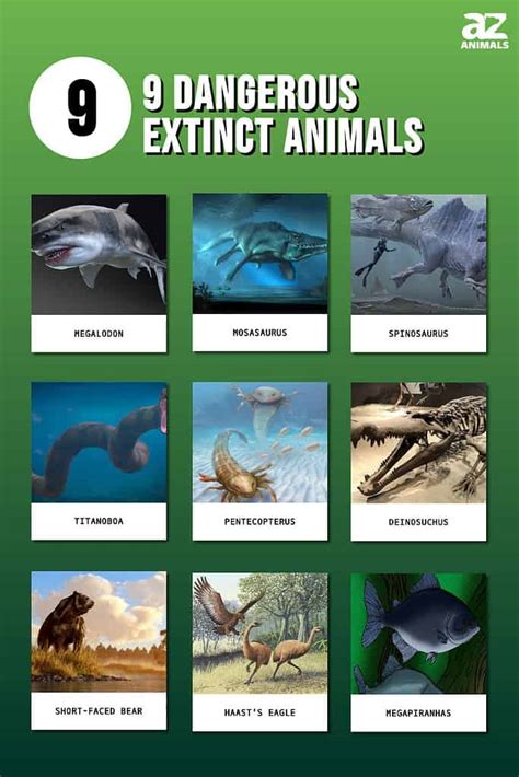 Extinct Animals List In The World