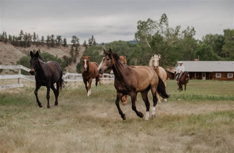 Circle Bar Guest Ranch, Hobson, Montana - Montana Dude Ranchers Association