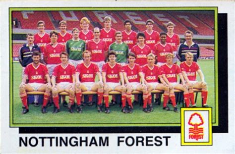 Nottingham Forest team group in 1985-86. | Equipos de europa, Fútbol ...