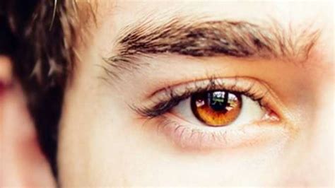 Learn About The Origin of Amber Eyes in People