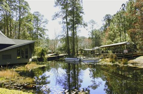 don't miss this park - Okefenokee Swamp Park, Waycross Traveller ...