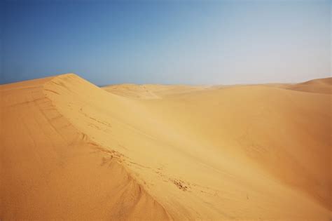 Premium Photo | Sand dunes in Namib desert