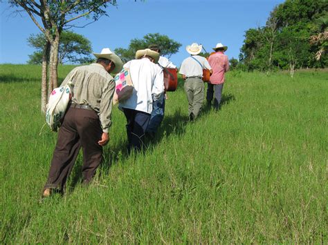 Revitalizing Endangered Languages - Nahuatl