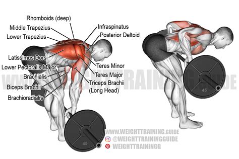 The Benefits Of Bent-Over Barbell Rows (and How To Do Them) | November 2023