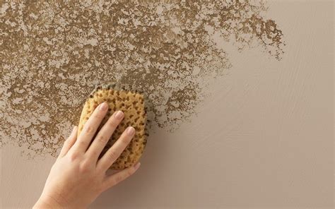 A person sponging texture onto a beige wall. | Wandgemälde ...