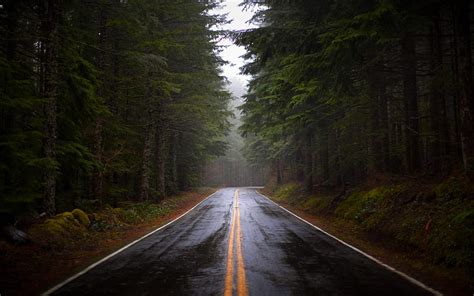 Rainy Road Wallpaper