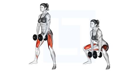 Dumbbells Sumo Squat | Sumo squats, Lower body muscles, Squats muscles ...