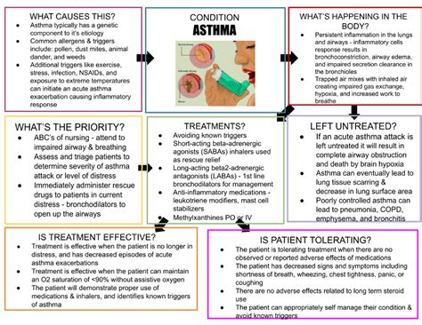 asthma concept map - NUR 3050 - Studocu