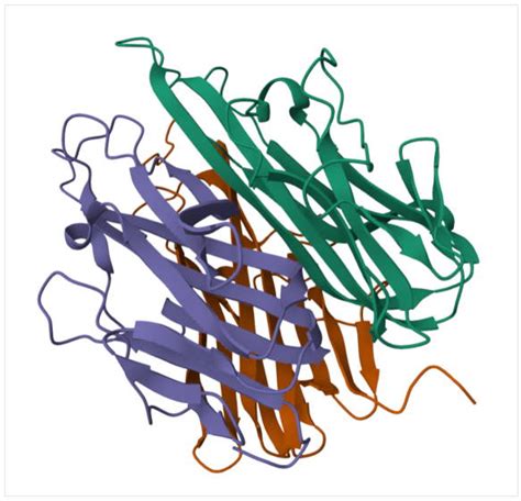 TNF alpha & Inflammation - Assay Genie