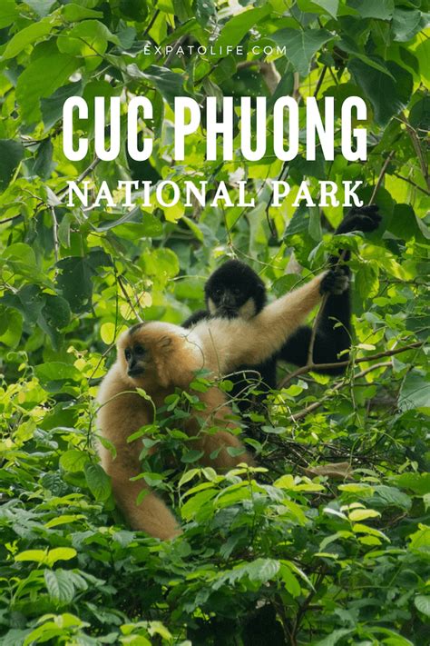 Cuc Phuong National Park: A Natural Paradise in Vietnam