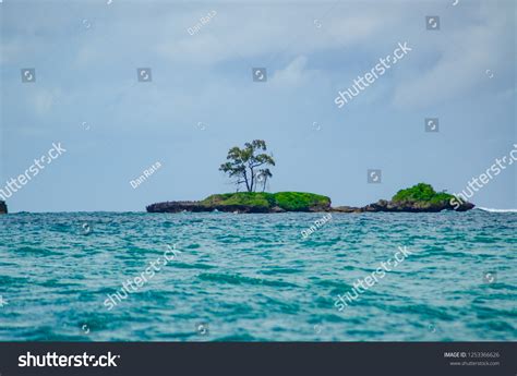 Wasini Island Coastal Landscape Stock Photo 1253366626 | Shutterstock