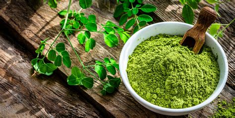 Moringa: Health Benefits, Side Effects & How to Use