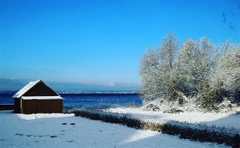 Lake Constance Winter Nature - Free photo on Pixabay - Pixabay