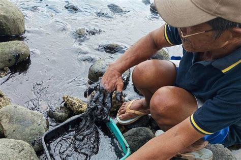 PH Coast Guard formally requests US to help in cleaning up Mindoro oil ...