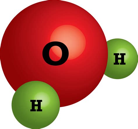 Science online: The importance of the water and its structure