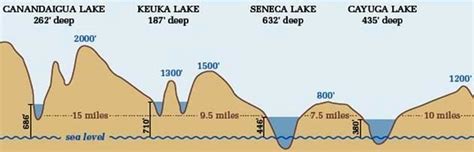 Seneca Lake Pure Waters Association - Lake Level Monitoring