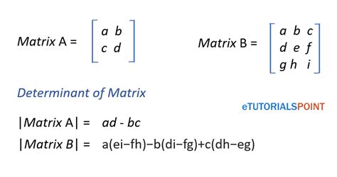 Determinant of a matrix in Python