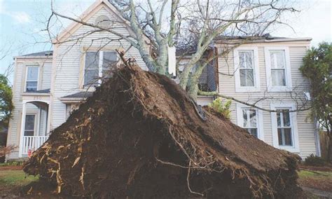 Tennessee looks to recovery after string of deadly tornadoes ...