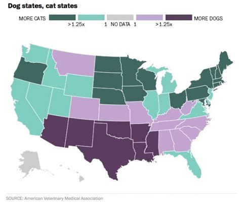 Thematic Map Of Usa – Map Vector