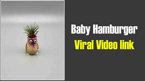 Baby Hamburger Viral Video link