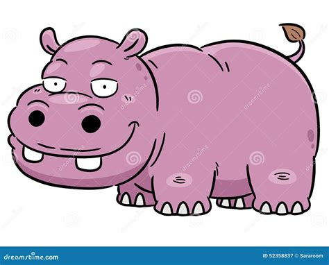 Hippopotamus Life Cycle Infographic Diagram Cartoon Vector ...