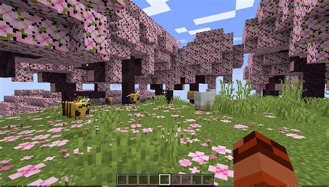 How to Explore the Cherry Blossom Biome and Bundles Early in Minecraft ...