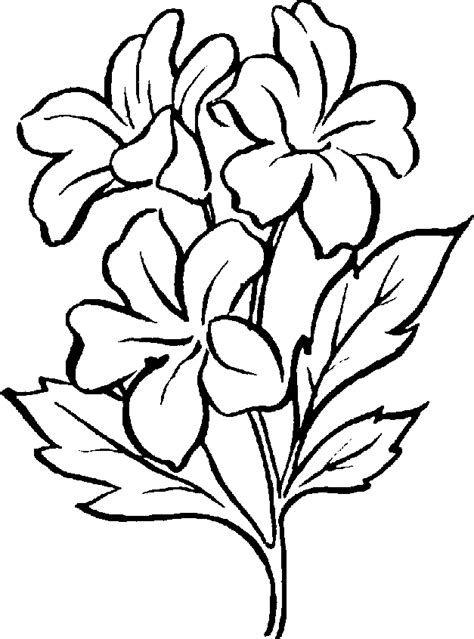 Black And White Clipart Flower | Free download on ClipArtMag