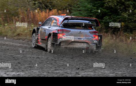 Car 42, Driver Craig Breen, Co-Driver Paul Nagle, Wales Rally GB, Day ...