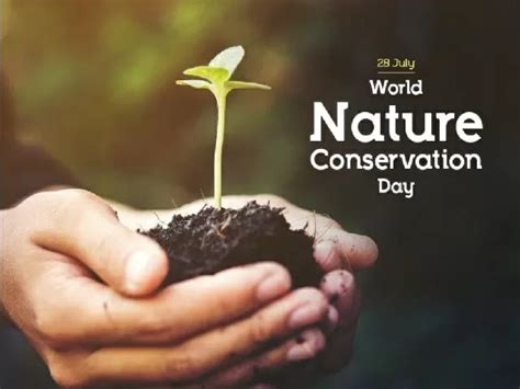 World Nature Conservation Day 2021: Know date, significance and 5 ways ...