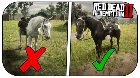 Rdr2 where to find black arabian horse