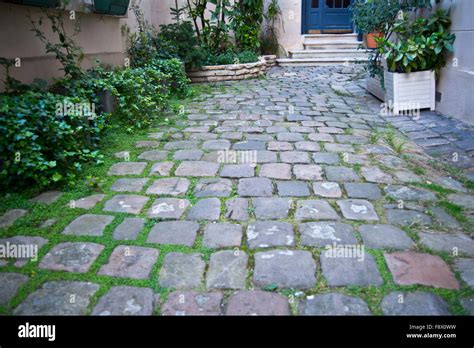 Photograph of a cobblestone courtyard garden in Paris Stock Photo - Alamy