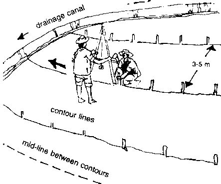 4. Vetiver for SWC in 2022 | Contour farming, Contour planting, Soil ...