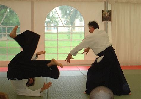 Aikido Techniques (Beginner & Advanced) - Black Belt Wiki