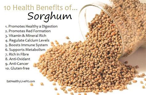 The health benefits of Sorghum | Food health benefits, Coconut health ...