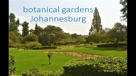 johannesburg botanical garden - YouTube