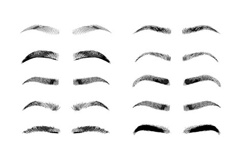 Eyebrow shapes. Various types of eyebrows. (193499) | Illustrations ...