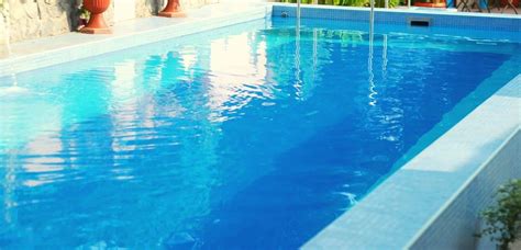 Pool White Water Mold - Best Ways to Prevent and Avoid 2024