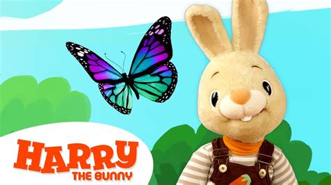 Baby Learning First Words with Harry the Bunny | Educational Family Fun ...