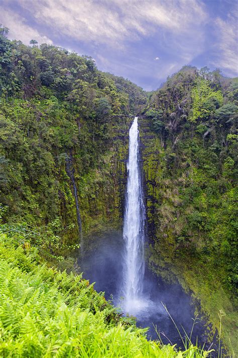 Akaka Falls Photograph by Bill Tiepelman