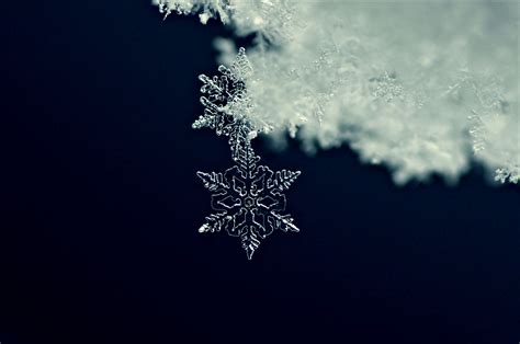 Snowflake Formation, Shape, and Design Explained