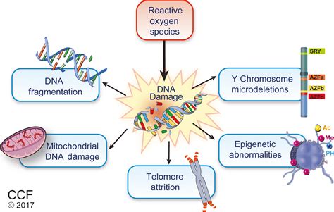 Sperm Overdose – Telegraph