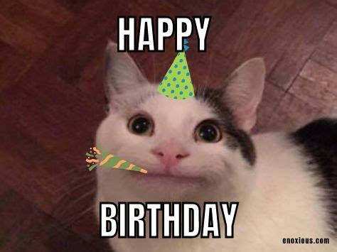 21 Happy Birthday Cat Meme Ideas | Happy birthday cat, Happy birthday ...