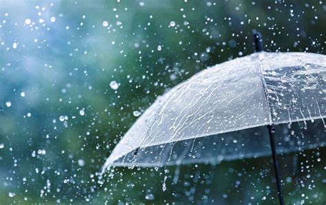 6 ways to stay healthy during the rainy season - WellaHealth