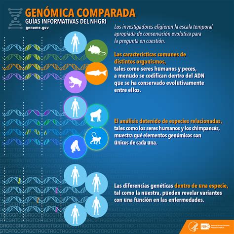 O que é genômica comparativa