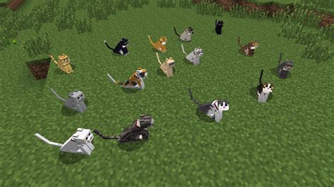 Not Enough Pets - Minecraft Mod