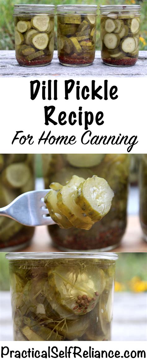 Dill Pickle Recipe for Canning | Recipe | Pickling recipes, Pickles ...